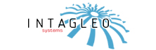 Intagleo Systems