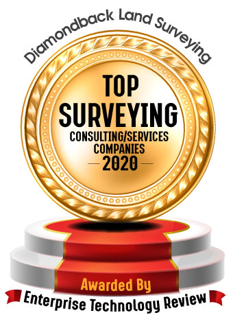 Top 10 Surveying Consulting/Services Companies - 2020